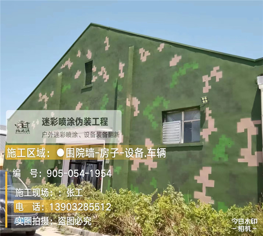 淮南外墙数码迷彩漆施工报价清单(100㎡标准墙面测算)